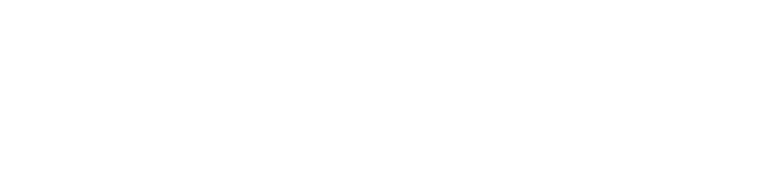 Logo APITEK